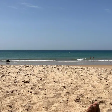 Eljaleo Conil De La Frontera
